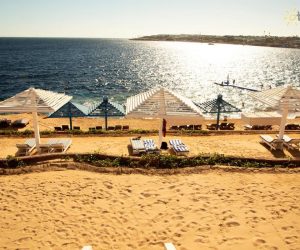 Гарячі тури в Єгипет зі Львова - відпочинок в Єгипті 2021-2022 267 тур Grand Oasis Resort