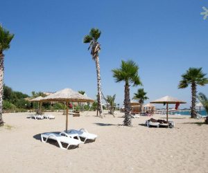 Гарячі тури в Туреччину зі Львова - відпочинок в Туреччині 2021-2022 329 готель в Туреччині лише для дорослих Flora Garden Beach