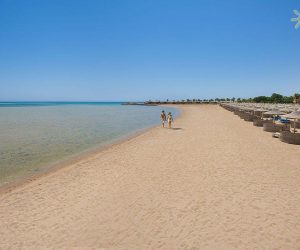 Гарячі тури в Єгипет зі Львова - відпочинок в Єгипті 2021-2022 278 топ готель Єгипту для відпочинку у двох Stella Di Mare Beach Resort
