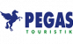 Home 33 pegas